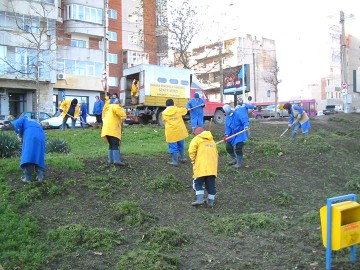 Primăria anunţă campanii de toaletări, constănţenii vorbesc de copaci suspendați în cabluri, de ani de zile